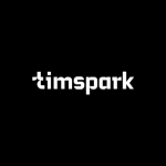 Software Development Company